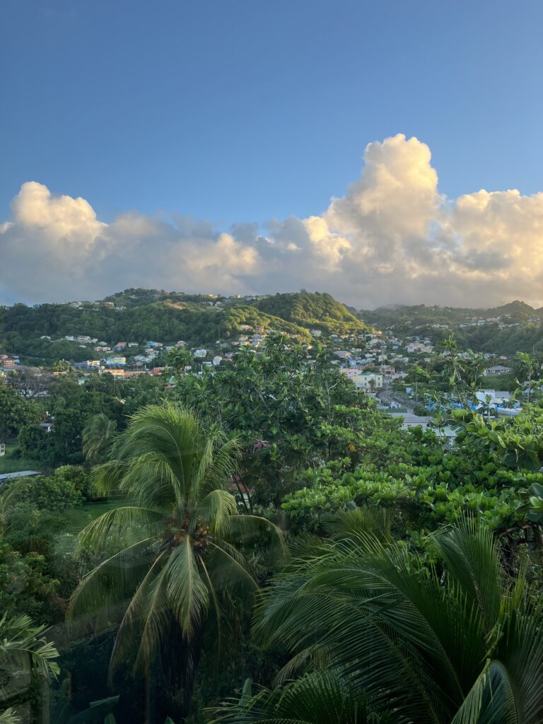 Doerthe Sievers Blick in die Landschaft von St.Vincent